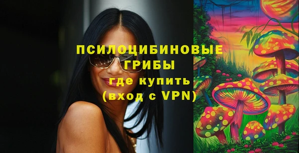 мескалин Горняк