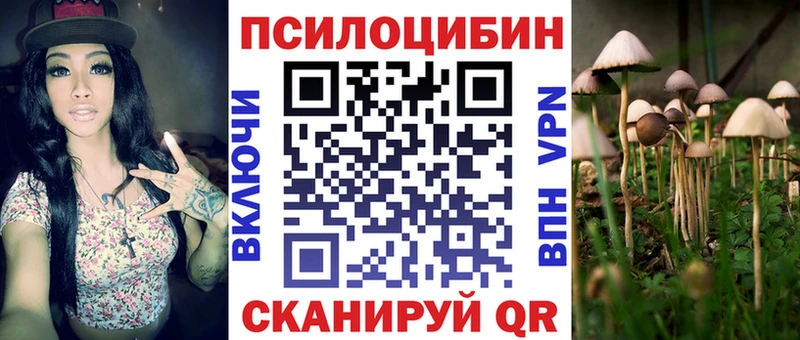 Купить  Ростов  Псилоцибиновые грибы прущие грибы 